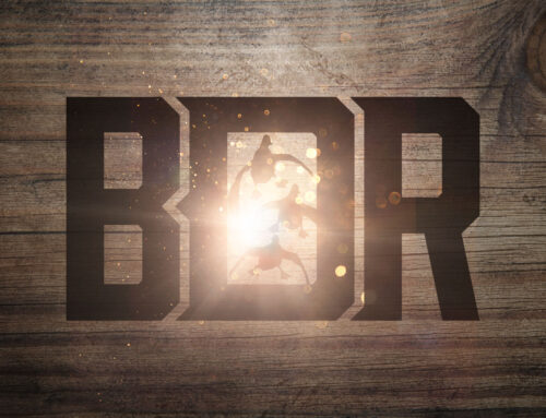 Banded Drake Ranch logo