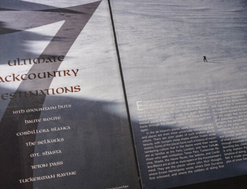 Couloir Magazine Graphic Designs