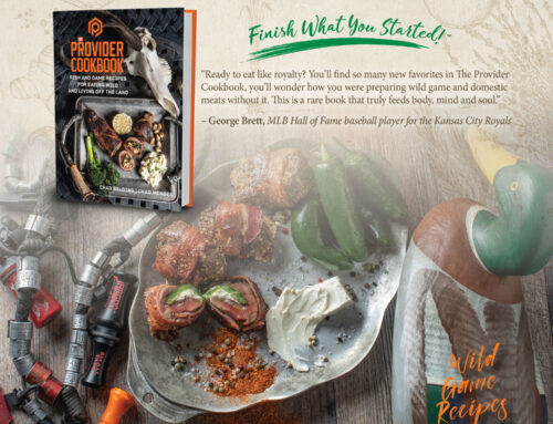 The Provider Full Page Print Ad Design