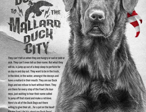 The Fowl Life Full Page Print Ad Design