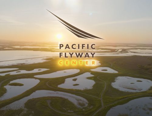 The Heart of the Flyway Campaign Video